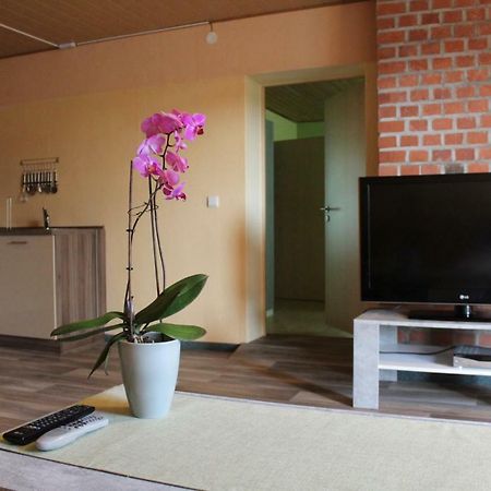 Ferienwohnung Im Gruenen Diesbar-Seusslitz 外观 照片